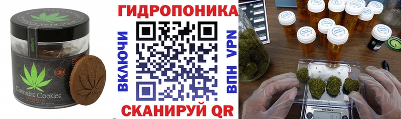 блэк спрут зеркало  Светогорск  Еда ТГК конопля 