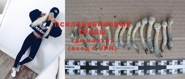 a pvp Пересвет