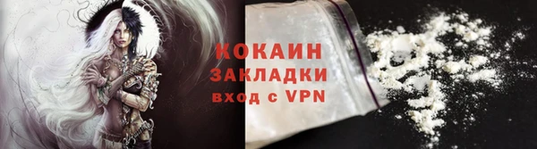 a pvp Пересвет
