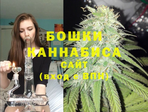 apvp Пестово
