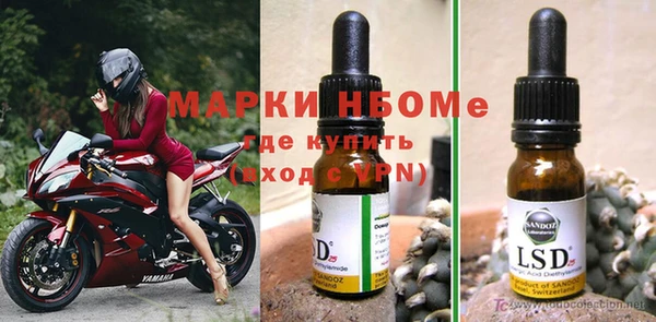 a pvp Пересвет