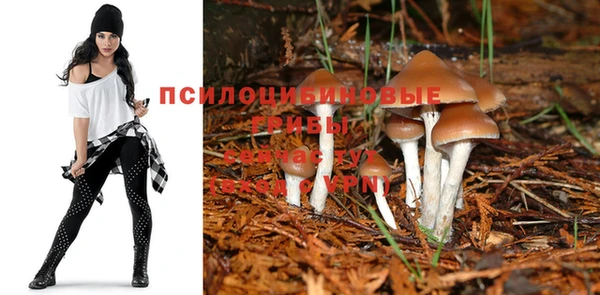 jwh Переславль-Залесский