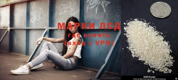 apvp Пестово