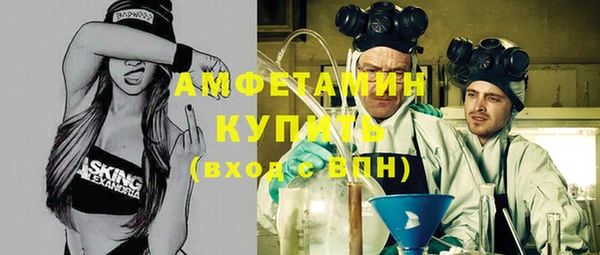 a pvp Пересвет